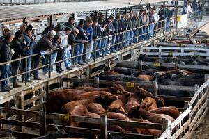 En la previa del paro, el valor de la hacienda aumentó un 10,32%