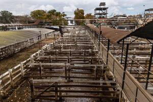 Mercado de Liniers durante el paro del campo en rechazo al cierre de las exportaciones de carne vacuna