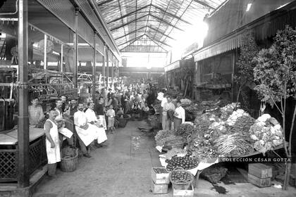 Mercado del Plata