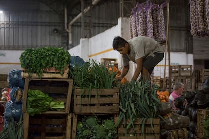 El mercado frutihortícola de Escobar es el más grande de la colectividad boliviana en Buenos Aires