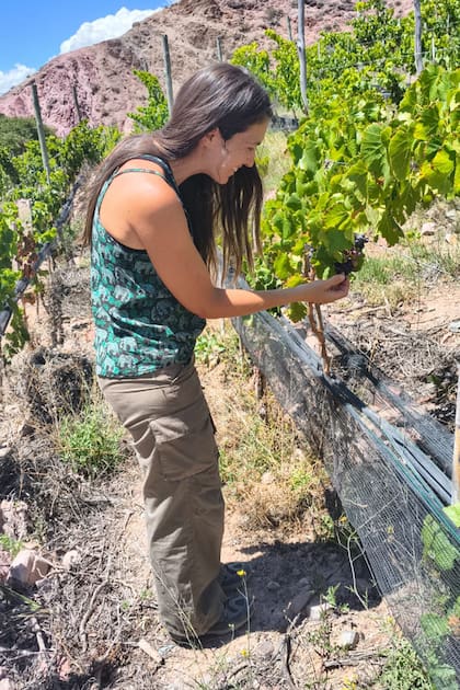 Mercedes Grondona recorriendo los viñedos de Kindgard