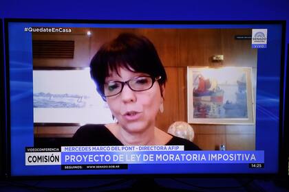 Mercedes Marcó del Pont, al defender la moratoria impositiva que la oposición definió como un "traje a medida" para Cristóbal López