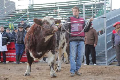 Mercosur, en la pista de Palermo hoy