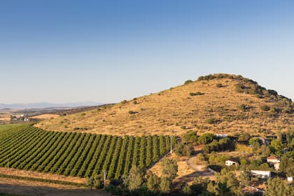 Paisaje rural de Extremadura
