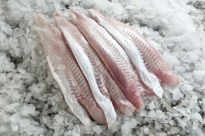 Merluza en la pescadería, uno de los elegidos de los argentinos