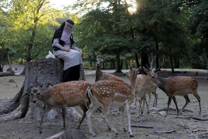 Meryem, de 20 años, usuaria del niqab y miembro del grupo Kvinder I Dialog (Mujeres en diálogo), se sienta entre ciervos en Dyrehaven, un parque en Aarhus.