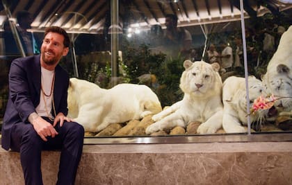 Messi visitó un santuario de animales en India