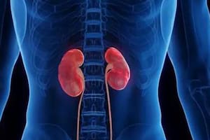 Ocho señales de que los riñones no están bien: el dolor lumbar una de ellas
