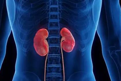 El consumo de metanol causa la acumulación de ácido en los riñones.