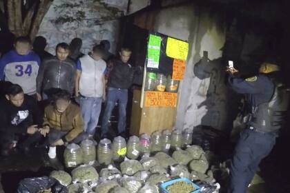 Metropoli muestra el lado más salvaje de la Ciudad de México