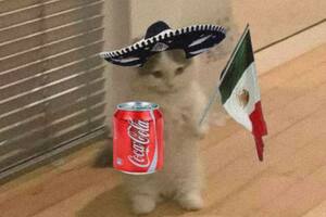 México venció a El Salvador, clasificó al Mundial y estallaron los memes