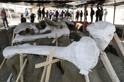 Mientras se siguen encontrando restos óseos la construcción de aeropuerto no se detiena