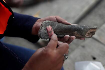 Ya se encontraron 200 esqueletos