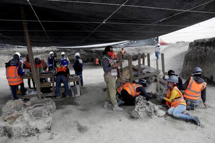 Hace varios meses atrás donde se construye el aeropuerto de Santa Lucía se encontraron alrededor de 60 restos prehistóricos de mamuts