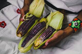 El comercio del maíz. La clave es llegar a más mercados