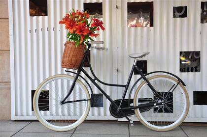 Mi favorita. ''Voy y vuelvo del trabajo en esta bicicleta que adoro. Es vieja y bien de paseo, pero dejar el auto y optar por la bici me hace realmente muy feliz, más ahora que hay bicisendas por toda la ciudad''