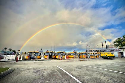 Miami Beach incorporará a principios de 2026 los taxis acuáticos gratuitos en su sistema de transporte