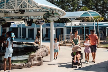 El domingo, las familias y los veteranos que fueron de visita por última vez, pagando 40 dólares por adulto y 20 más de estacionamiento, no parecían demasiado impactados por el evidente deterioro del oceanario