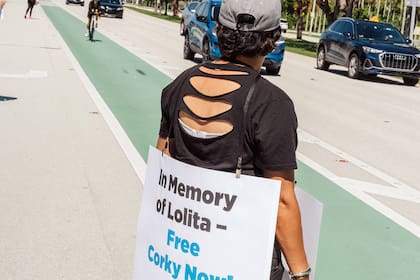 Fuera del parque, defensores de los animales celebraron el cierre y recordaron a la fallecida orca Lolita