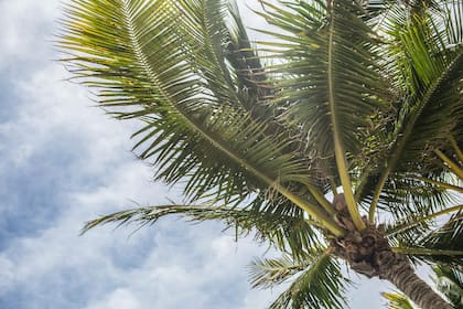 Miami tendrá un descenso en la temperatura durante los primeros días de la próxima semana