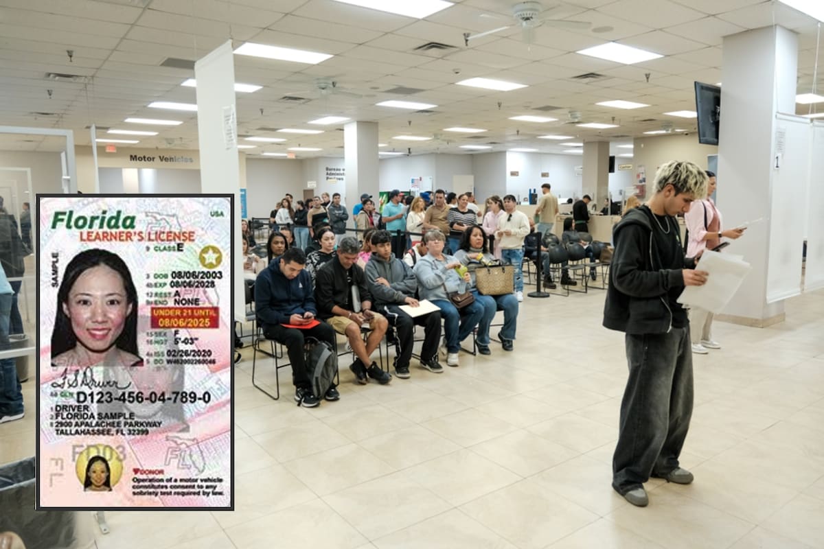 Carteira de motorista na Flórida. mudança dramática nos exames que afetam os migrantes hispânicos Carteira de motorista na Flórida. mudança dramática nos exames que afetam os migrantes hispânicos