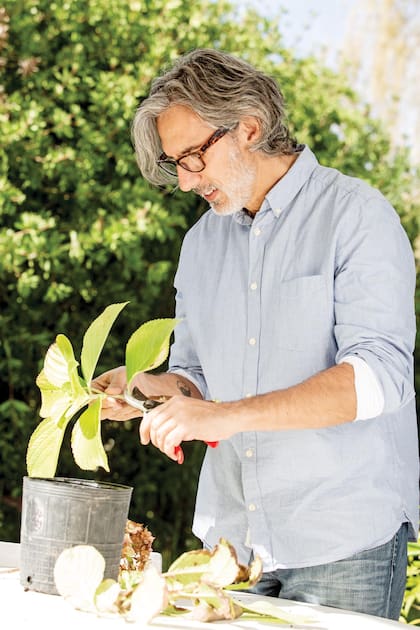 Miceli trabajando en su propio jardin, además diseñas espacios.