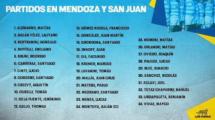 Michael Cheika convocó a 34 jugadores para los partidos ante Australia en Mendoza y San Juan