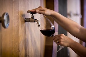 Por qué se celebra el Día del vino argentino el 24 de noviembre