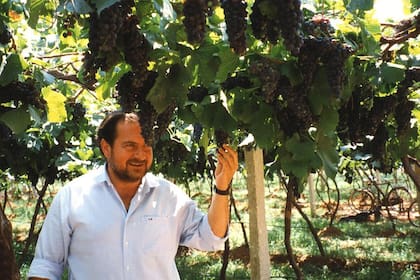 Michel Rolland en una de sus primeras visitas a la Argentina