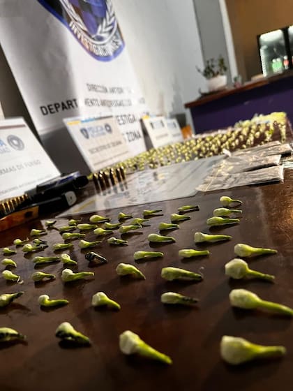 Microdosis de droga incautadas en operativos contra el narcomenudeo en la Capital