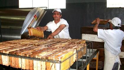 Miel del centro del país y frutas de Mendoza y de Río Negro, dos de los productros que serán ofrecidos en la misión comercial de Dubai