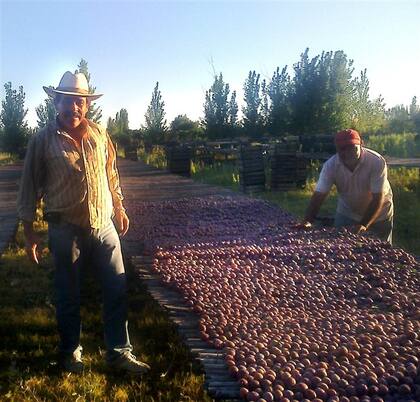 Miel del centro del país y frutas de Mendoza y de Río Negro, dos de los productos que serán ofrecidos en la misión comercial de Dubai