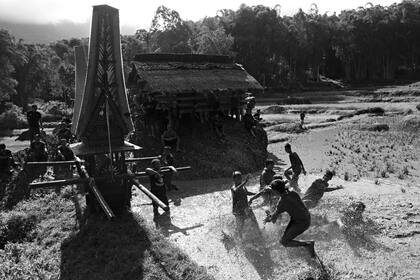 Miembros de la familia que llevan el ataúd que contiene el cuerpo de Naomi Malino, saltan y juegan en un campo de arroz durante el ritual de entierro o ceremonia de Rambu Solo en su honor en el pueblo de Lempo.