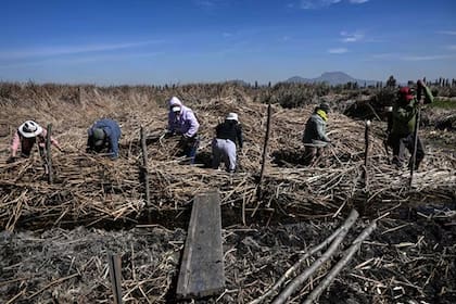 Miembros de la Fundación Matter of Trust, junto a voluntarios mexicanos y estadounidense.