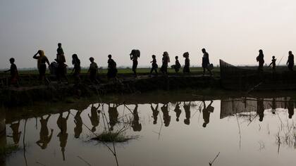 Miembros de la minoría étnica Rohingya de Myanmar caminan a través de campos de arroz después de cruzar la frontera hacia Bangladesh