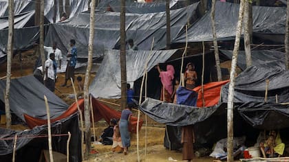 Refugiados Rohingya de Myanmar bajo tiendas improvisadas después de llegar a un campo de refugiados cerca de la ciudad de Teknaf