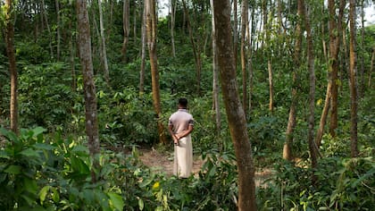 Un hombre Rohingya junto a las tumbas de su hermano de 25 años Jarullah y su cuñada de 21 años, Ayesha Bibi, en un cementerio improvisado cerca de la zona Tumbru de Cox en Bazar, Bangladesh