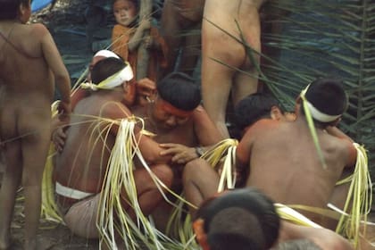 Miembros de la tribu Korubo caminan por un sendero en el valle de Javari en el noroeste de Brasil