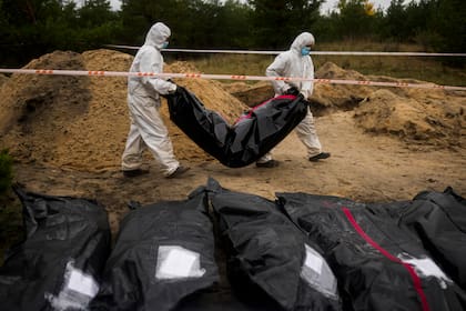 Miembros de un equipo forense cargan una bolsa para cadáveres mientras trabajan en el sitio de una fosa común, en Lyman, Ucrania, el martes 11 de octubre de 2022. (AP Foto/Francisco Seco)