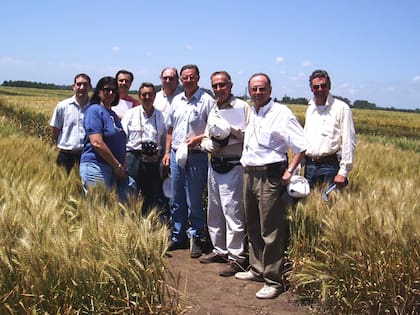 Miembros del Comité de Cereales Invernales en el Campo Experimental