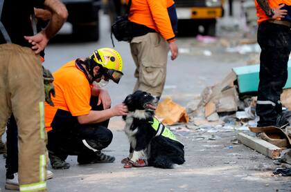 Miembros del equipo chileno de rescate junto a Flash, el perro especializado en búsqueda de personas, en Beirut