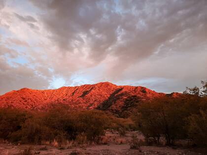 Mientras cae sobre el Oeste, el sol se proyecta sobre una de las colinas que lindan con el campo. "Es de ensueño", lo describe Zavala.
