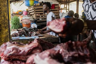 Mientras el ébola azota el Congo, expertos advierten de vínculo con el consumo de animales silvestres