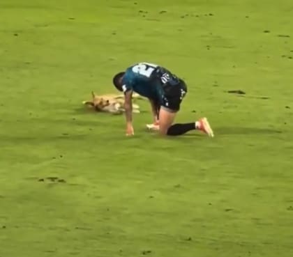 Mientras el jugador estaba lesionado, el perro no dudó en entrar al campo (Captura: @PlataformaALTO)