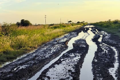 Mientras el norte de Santa Fe sufre por la falta de caminos, en Santiago del Estero las lluvias revirtieron una sequía de varios años.