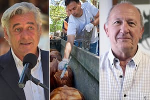 El campo se divide por una medida del Gobierno que promete bajar costos