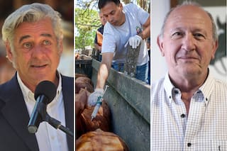 El campo se divide por una medida del Gobierno que promete bajar costos