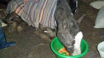 Mientras esperaban realizar el traslado al campo, la noche del rescate