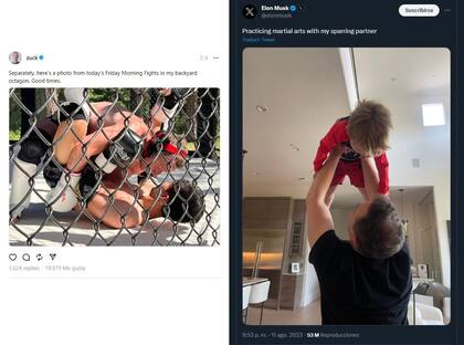 Mientras Mark Zuckerberg practica artes marciales en el jardín de su casa, Elon Musk lo carga con una foto en la que juega con su hijo