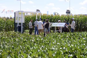 La industria semillera apunta a dominar una agricultura más desafiante